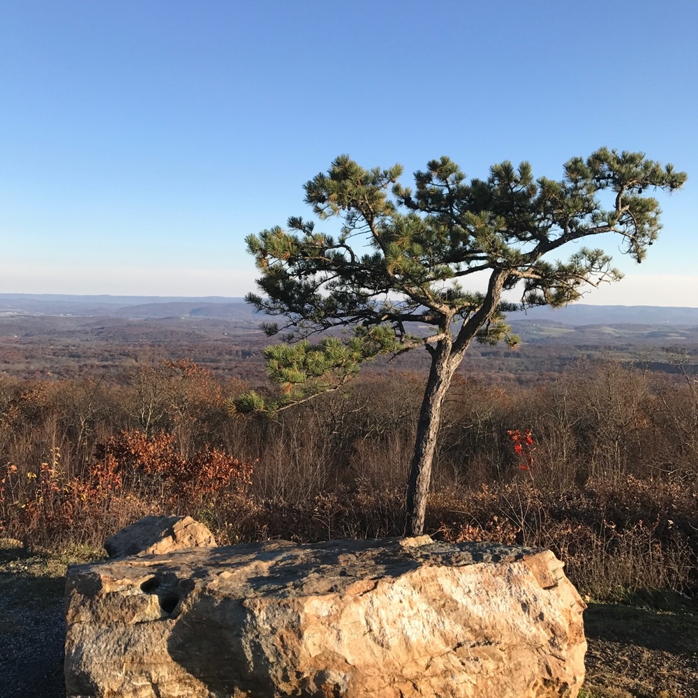 Meet your Posher, Denise